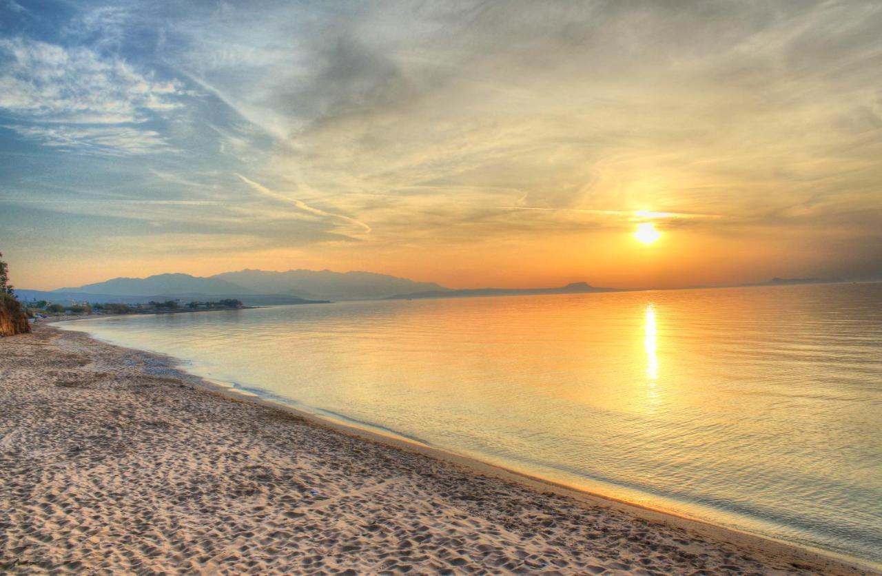 Alkionis Beach Hotel Apartments สฟากากิ ภายนอก รูปภาพ